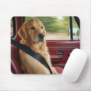 Goudkleurige Retriever met een Veiligheidsgordel Muismat