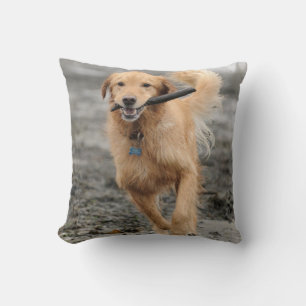 Goudkleurige Retriever Rent Met Stok In Mond Kussen