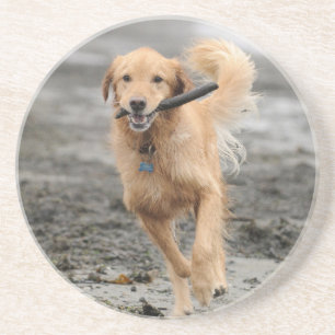 Goudkleurige Retriever Rent Met Stok In Mond Zandsteen Onderzetter