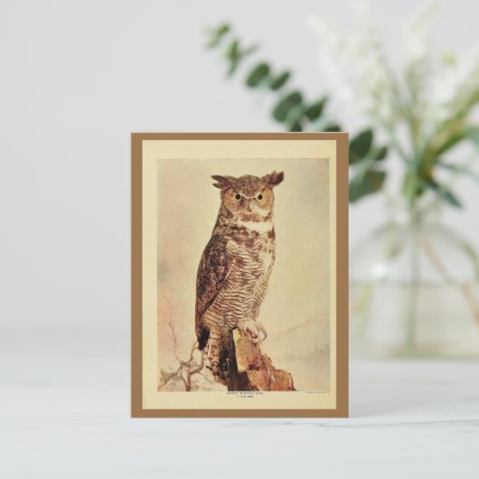  goudkleurige uil litho foto briefkaart (Staand voorkant)