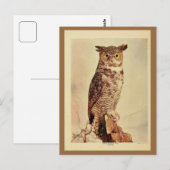 goudkleurige uil litho foto briefkaart (Voorkant / Achterkant)