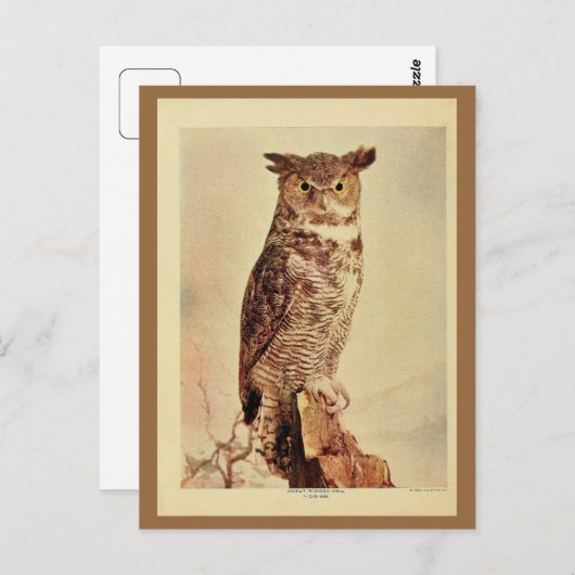 goudkleurige uil litho foto briefkaart (Voorkant / Achterkant)