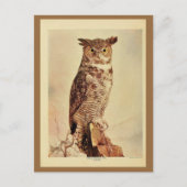 goudkleurige uil litho foto briefkaart (Voorkant)