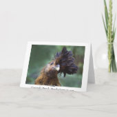 goudkleurige wyandotte hen kaart (Achterkant)