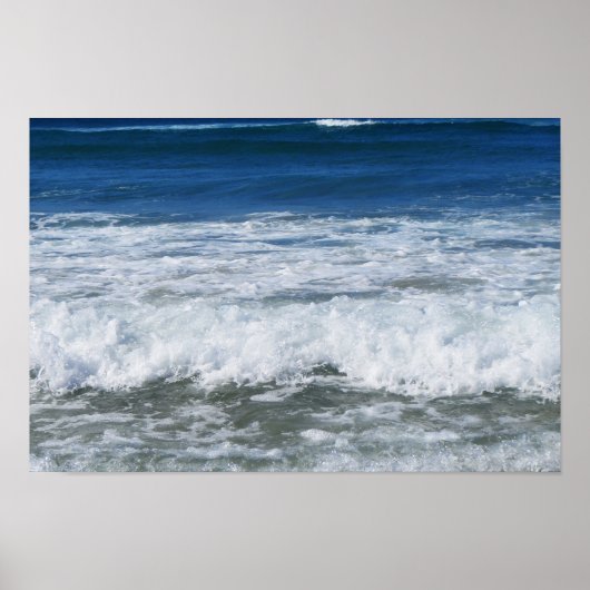 Goudkust Poster (Voorkant)