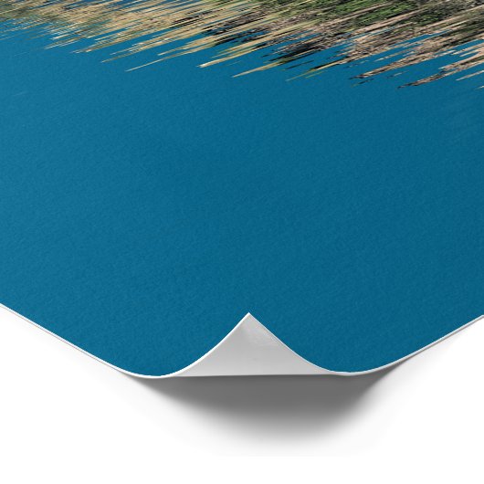 goudlichaam poster (Hoek)