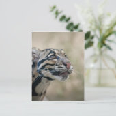 Goudluipaard Briefkaart (Staand voorkant)