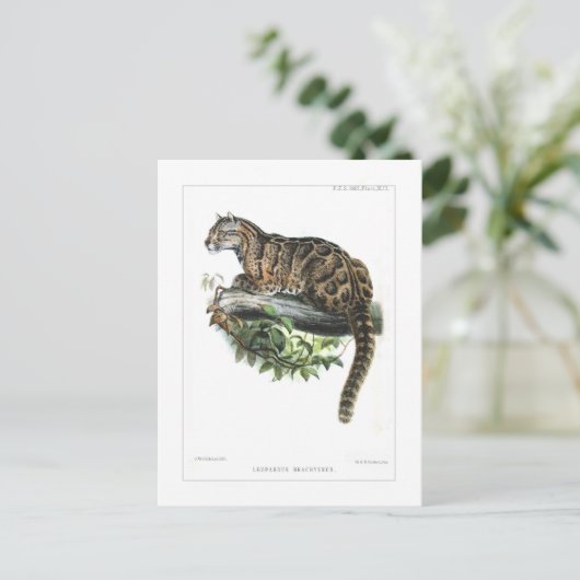 Goudluipaard Briefkaart (Staand voorkant)