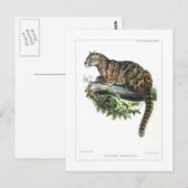 Goudluipaard Briefkaart (Voorkant / Achterkant)