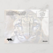 Goudluipaard Briefkaart (Achterkant)
