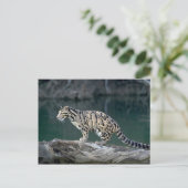 Goudluipaard Briefkaart (Staand voorkant)