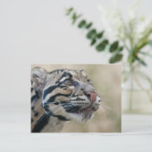 Goudluipaard Briefkaart (Staand voorkant)