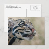 Goudluipaard Briefkaart (Voorkant / Achterkant)