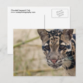 Goudluipaard Briefkaart (Voorkant / Achterkant)