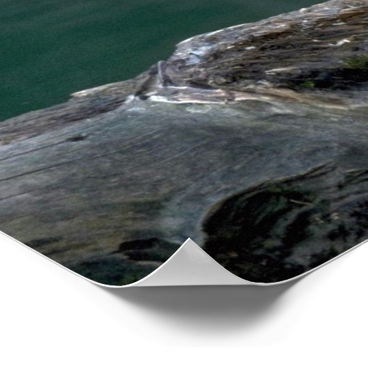 Goudluipaard Poster (Hoek)