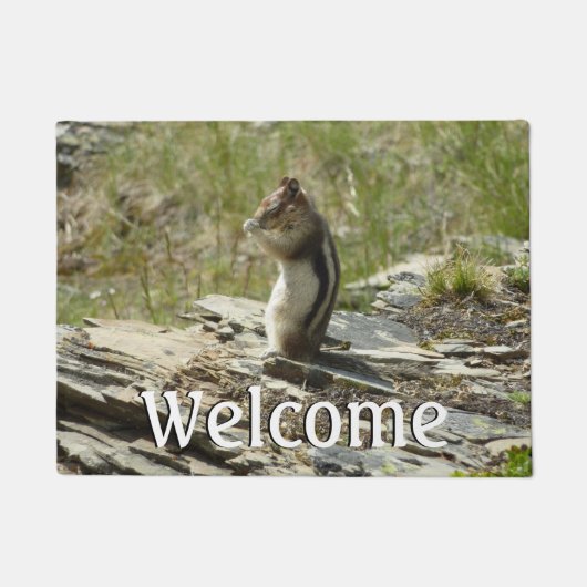 Goudmantel bij Gletsjer I Deurmat (Voorkant)