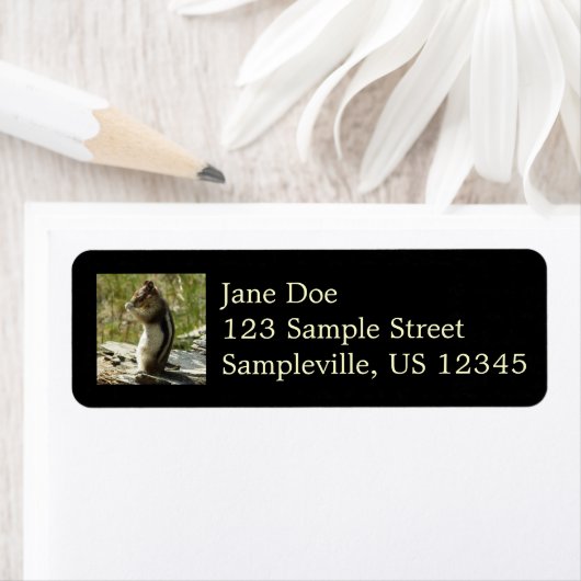 Goudmantel bij Gletsjer I Etiket (Insitu)