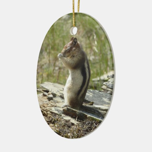 Goudmantel bij Gletsjer I Keramisch Ornament (Links)