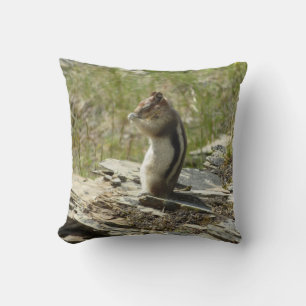 Goudmantel bij Gletsjer I Kussen