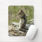 Goudmantel bij Gletsjer I Muismat (Met muis)