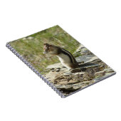 Goudmantel bij Gletsjer I Notitieboek (Rechterzijde)