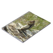 Goudmantel bij Gletsjer I Notitieboek (Linkerzijde)