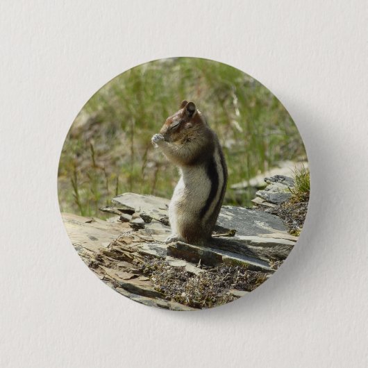 Goudmantelgrondeekhoorn bij Glacier I Ronde Button 5,7 Cm (Voorkant)