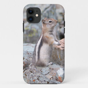 Goudmantelgrondeekhoorn bij Glacier II Case-Mate iPhone Case