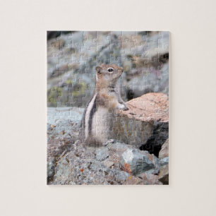 Goudmantelgrondeekhoorn bij Glacier II Legpuzzel