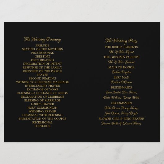 goudolieramp - programma (Achterkant)