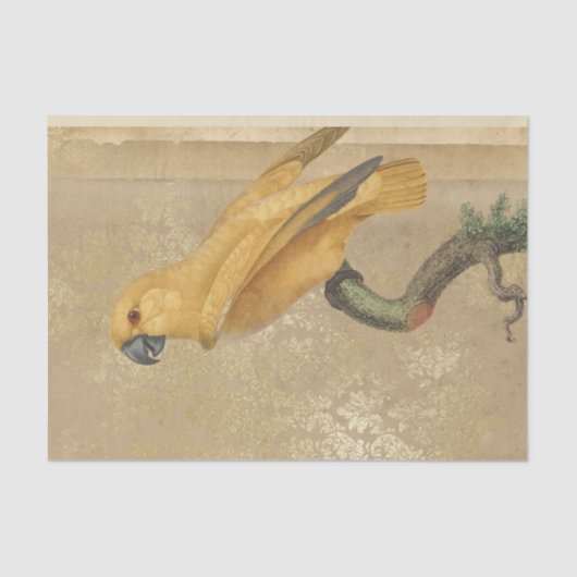 goudpapegaai tissuepapier (Voorkant)