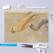 goudpapegaai tissuepapier (Craft)