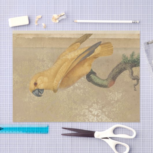 goudpapegaai tissuepapier (Craft)