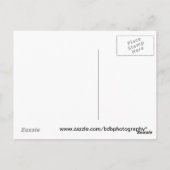 Goudpotje Briefkaart (Achterkant)