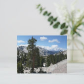 Goudpunt III in het nationaal park Yosemite Briefkaart (Staand voorkant)