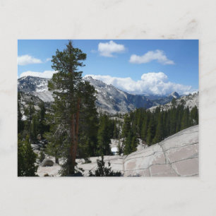 Goudpunt III in het nationaal park Yosemite Briefkaart