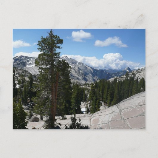 Goudpunt III in het nationaal park Yosemite Briefkaart (Voorkant)