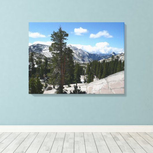 Goudpunt III in het nationaal park Yosemite Canvas Afdruk (Insitu (Houten vloer))
