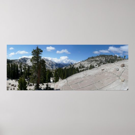 Goudpunt III in het nationaal park Yosemite Poster (Voorkant)