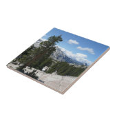 Goudpunt III in het nationaal park Yosemite Tegeltje (Zijkant)