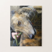 Goudpuzzel (p289) legpuzzel (Verticaal)