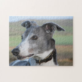 Goudpuzzel (p347) legpuzzel