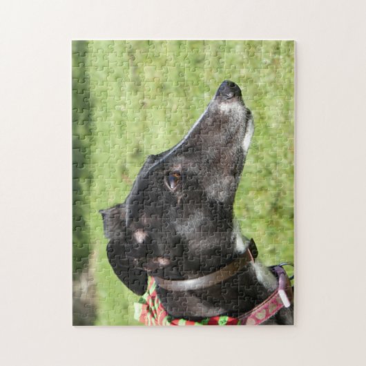 Goudpuzzel (p498) legpuzzel (Verticaal)