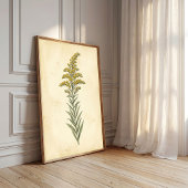 Goudroede Botanische Studie Canvasprint Poster
