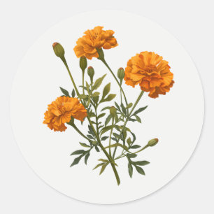 Goudsbloem Goud geel Tuin Bloem Bloem kunst Ronde Sticker