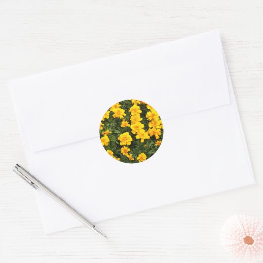 goudsbloem Stickers (Envelop)