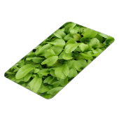 goudsbloem zaailingen premium magneet (Linkerzijde)