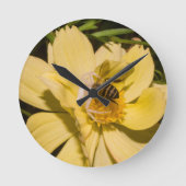 Goudsbloemkrabspin Ronde Klok (Voorkant)