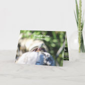 Goudschildpad Kaart (Achterkant)