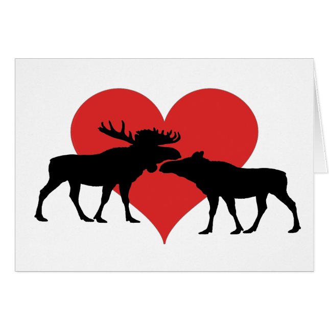 Goudstier en koe (Voorkant Horizontaal)